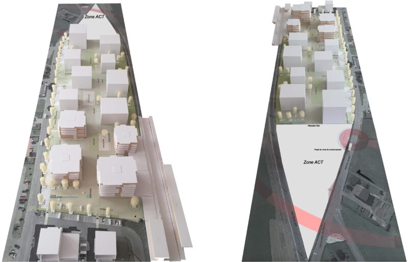 la gotta – slide 2