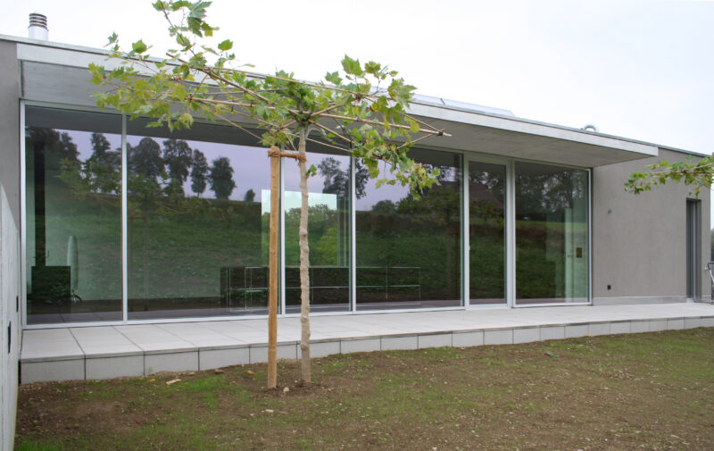 violettes25 – slide 3